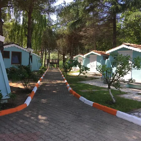 Shila Doert Mevsim Tatil Koyu