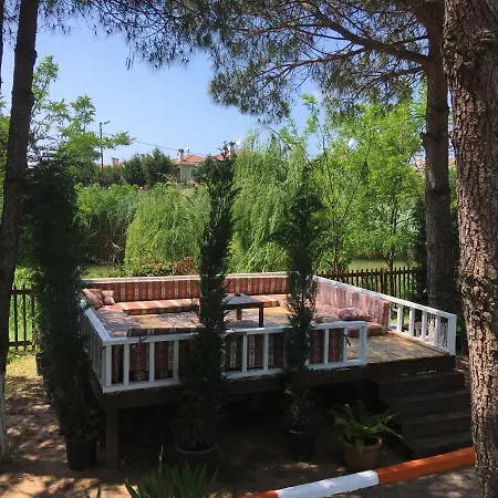 Shila Doert Mevsim Tatil Koyu Ağva