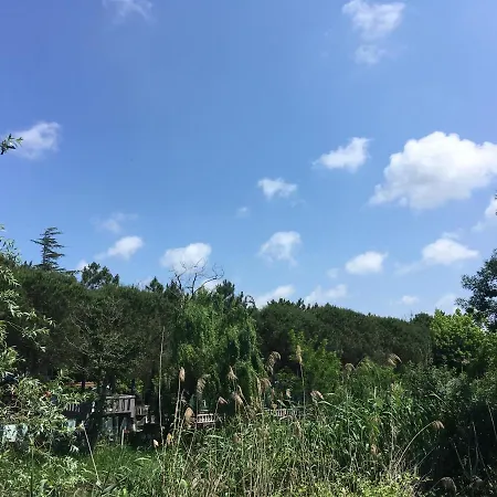 Resort Shila Doert Mevsim Tatil Koyu Ağva