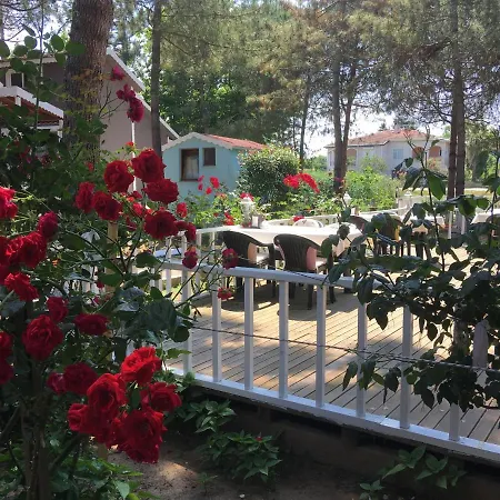 Shila Doert Mevsim Tatil Koyu