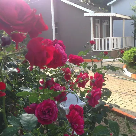 Resort Shila Doert Mevsim Tatil Koyu 3*