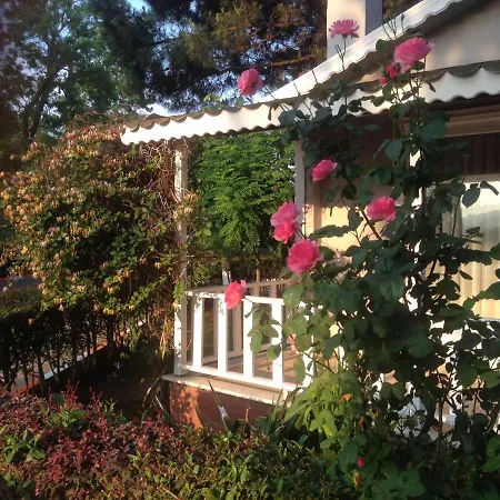 Shila Doert Mevsim Tatil Koyu