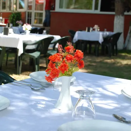 Shila Doert Mevsim Tatil Koyu Ağva